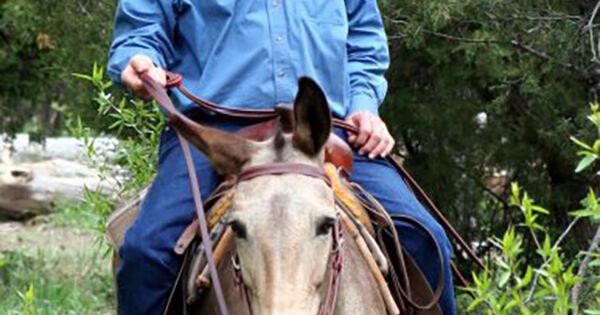 Carmel Franklyn “Frank” Davis