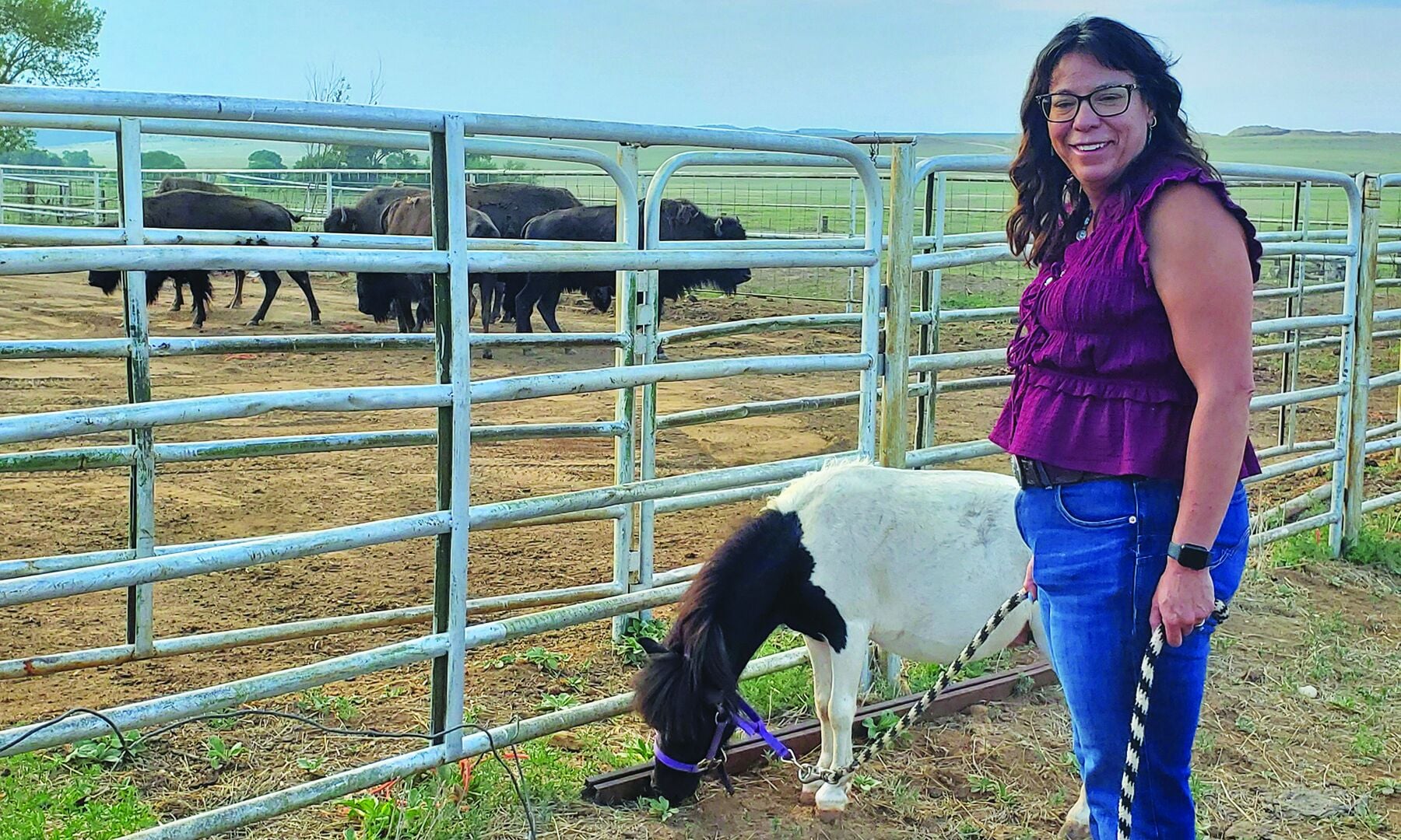 Ranch and therapy business adds ‘majestic’ buffalo to help calm clients
