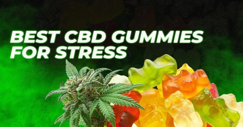 Best CBD Gummies for Stress: 8 Picks to Help You Unplug | Cannabis