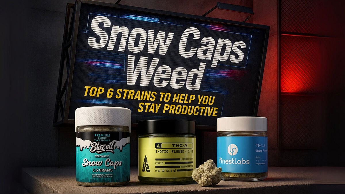 Snow Caps Weed: 6 Best THCA Strains for Focus & Productivity | Cannabis |  lasvegasoptic.com