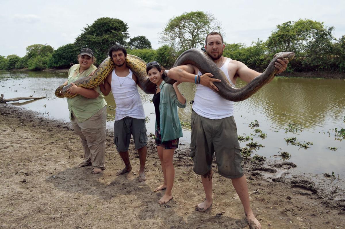 Gorgeous, but Highly Poisonous Snake Species Discovered in Honduras, Biology