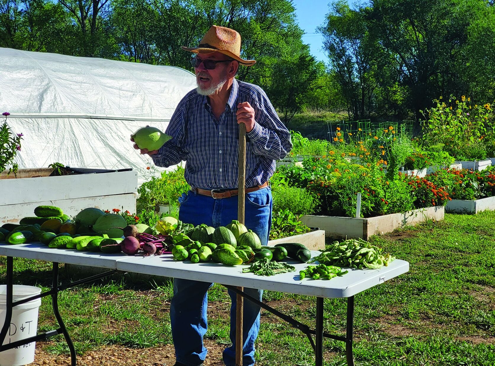 Las Vegas Demonstration and Training Farm takes steps to grow