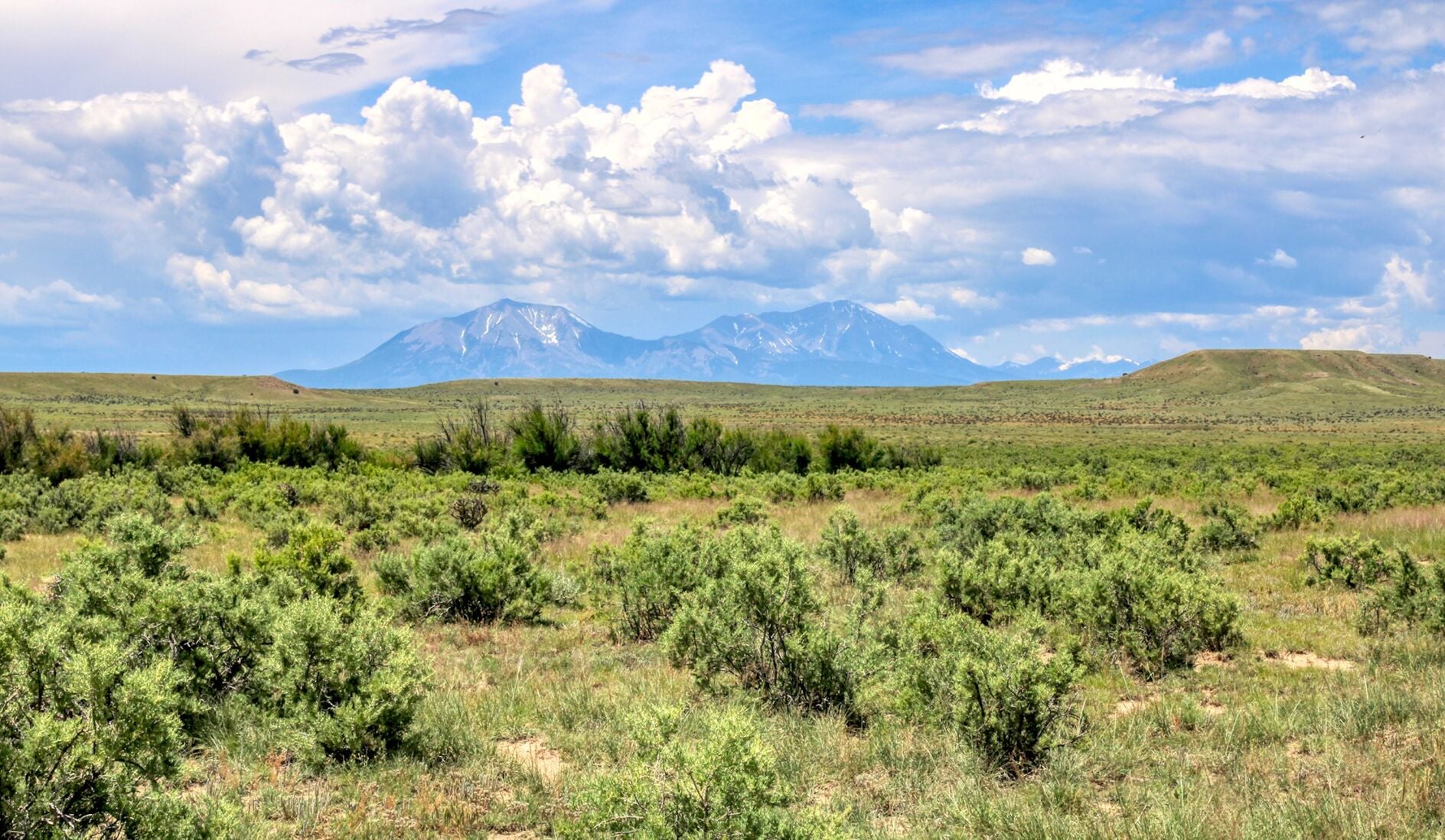 Business Spotlight: Join our team as a land broker at Cruikshank Realty