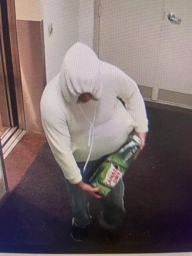Police detain man in connection with the fatal stabbing of a Latrobe ...
