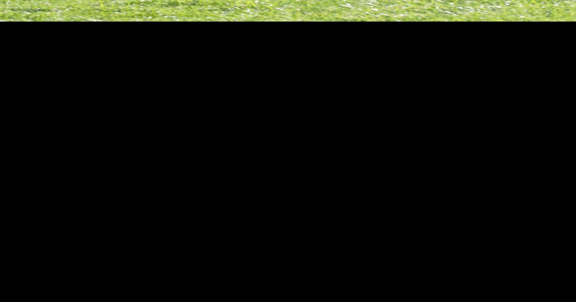 Derry Area sends a dozen girls and five boys to WPIAL finals Local