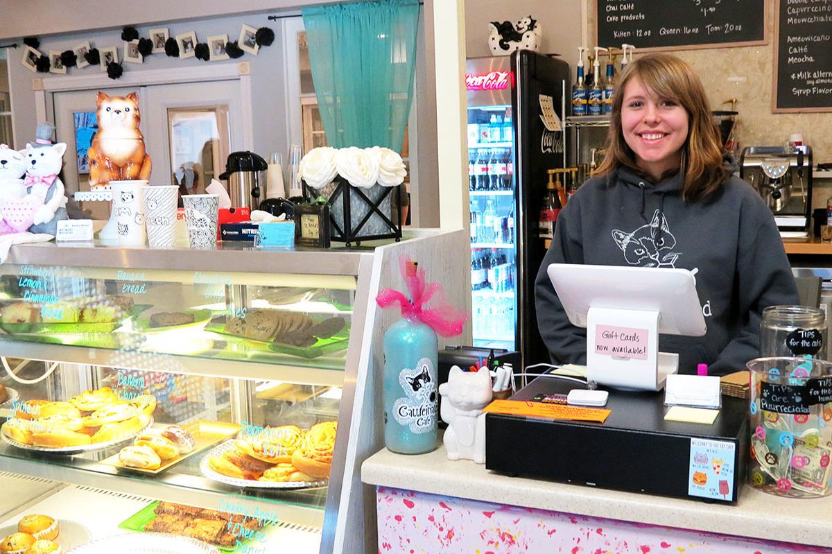 Cat CafÃ© experience increases feline adoptions | Local News