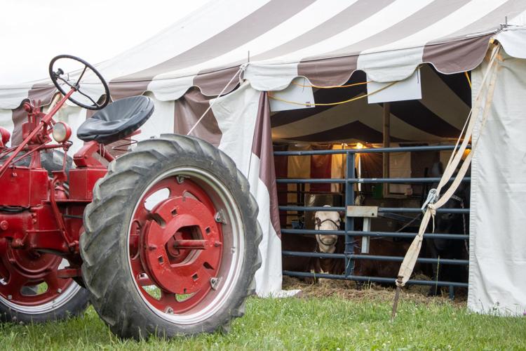 Large crowd attends Derry Twp. Agricultural Fair Local News