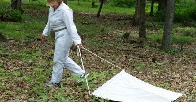 Heading into the woods this fall? Pennsylvania’s tick risks are changing