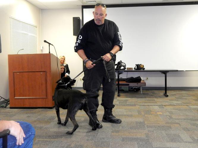 Police department names K-9 after former Wildcat