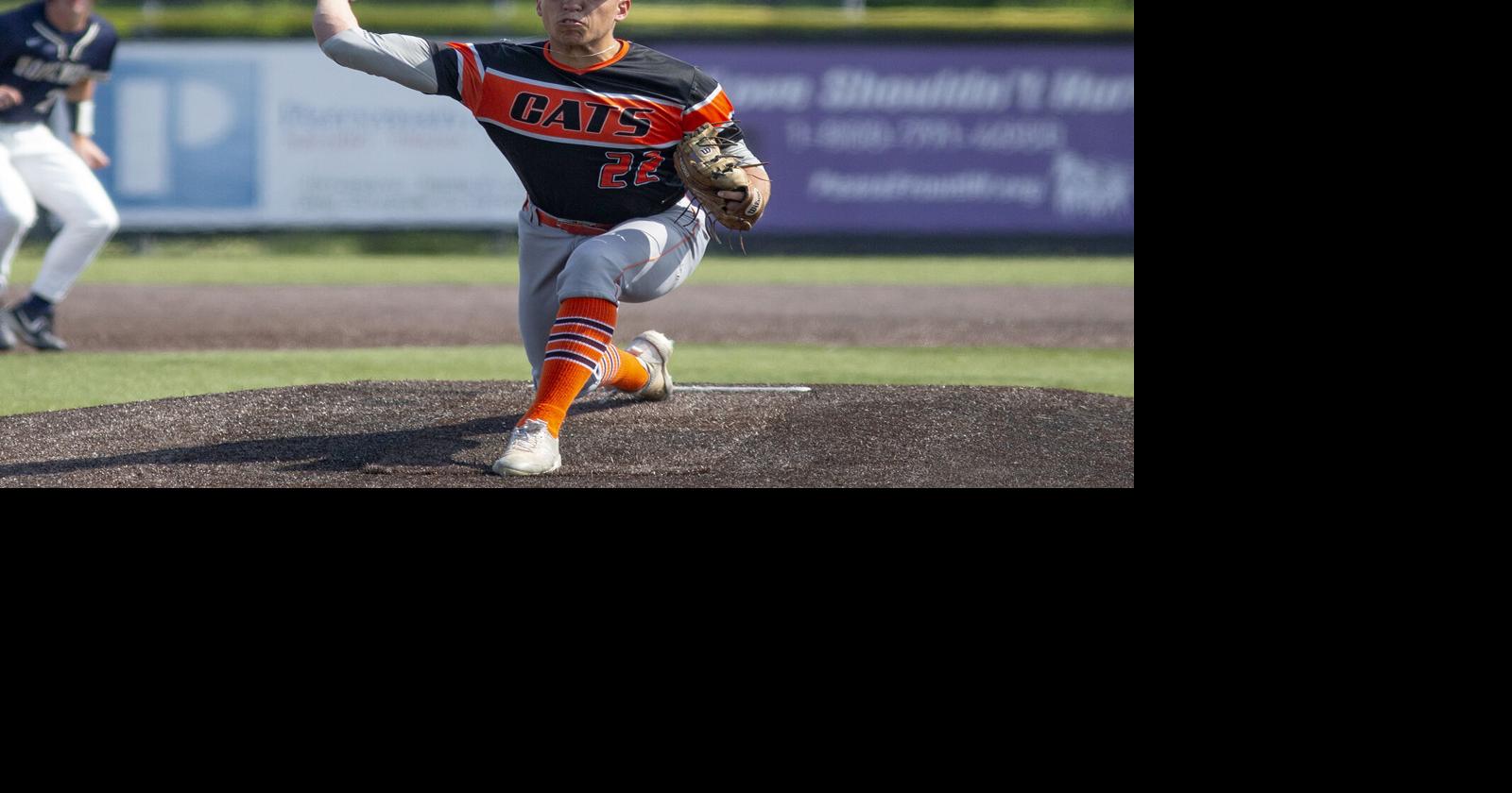 Late rally falls short for Greater Latrobe baseball in WPIAL ...
