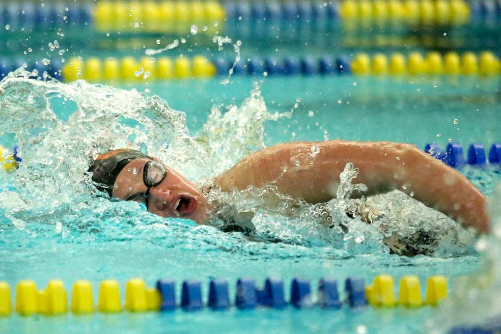 Greater Latrobe swimming and diving defeat Hampton, fall to Indiana