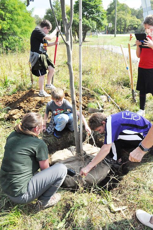 LVMS students help plant trees