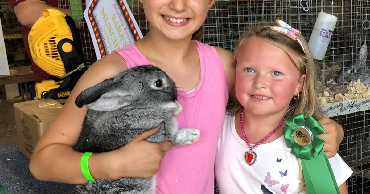 Winning rabbit | Local News | latrobebulletinnews.com