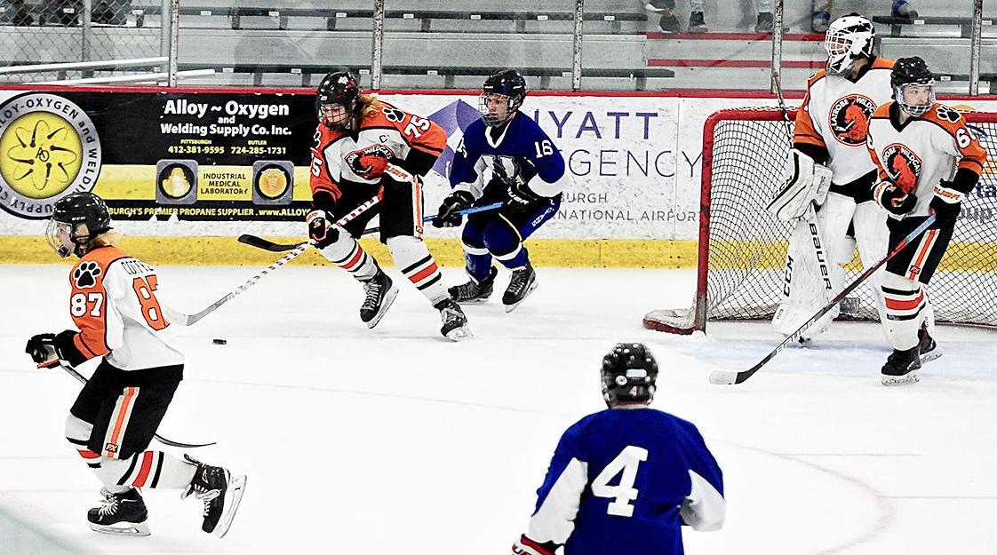 Icecats Enjoy Memorable Season Despite Coronavirus Pandemic Covid19 Latrobebulletinnews Com