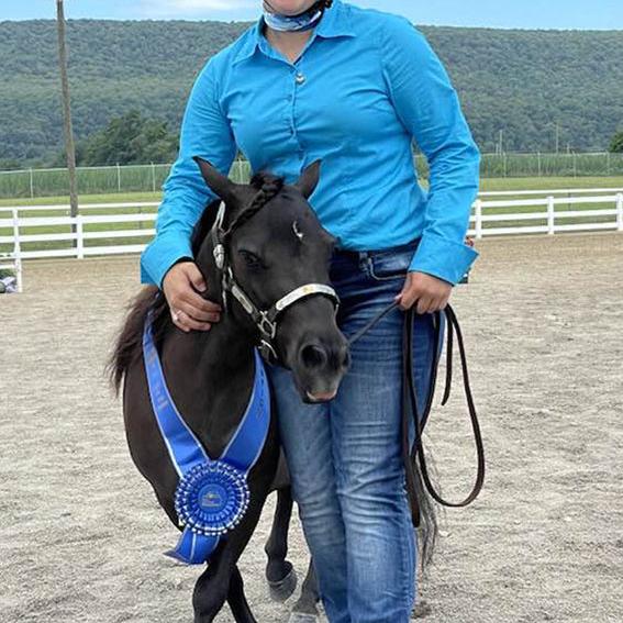 2022 Pennsylvania State 4-H Junior Horse and Dressage Championship shows held - Vimarsana News