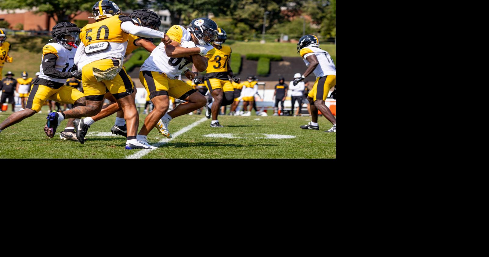 Steelers position preview: Linebackers