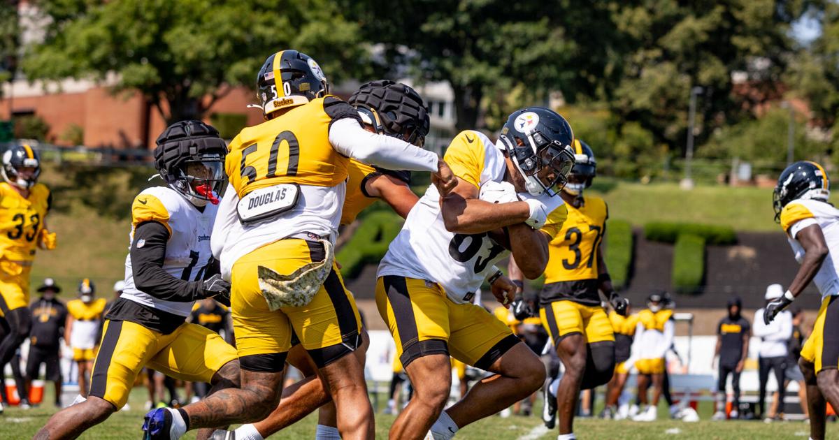 Steelers position preview: Linebackers
