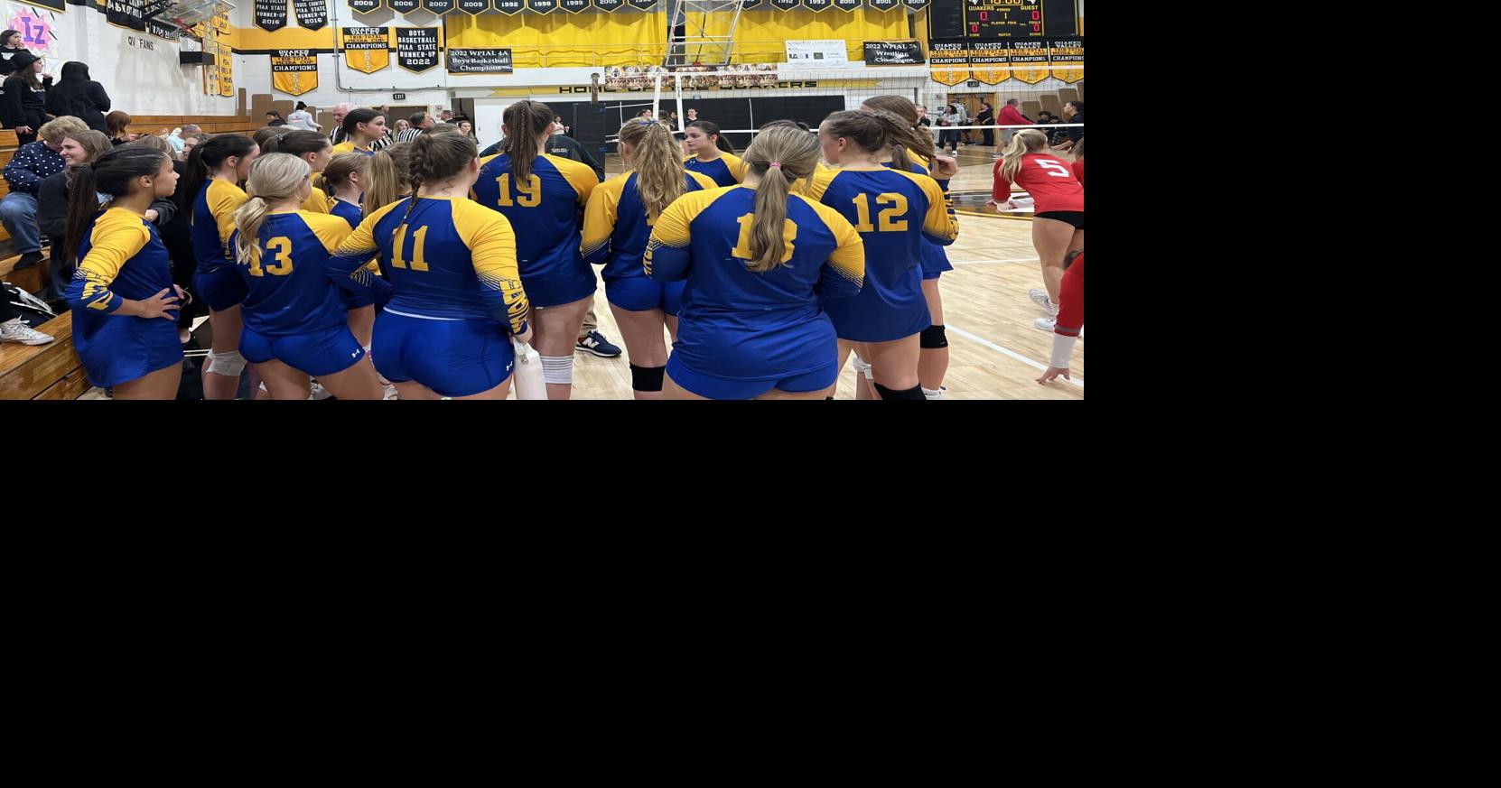 Several players from Derry Area make all-section volleyball teams ...