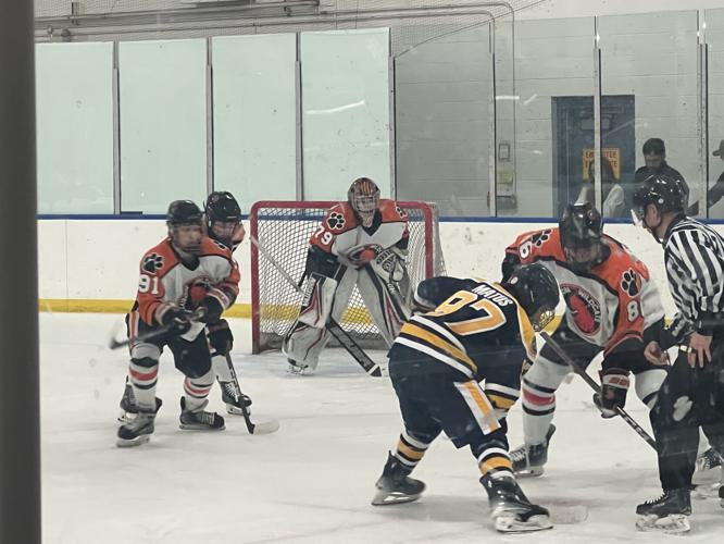 Second period dooms Greater Latrobe in PIHL playoffs Local Sports