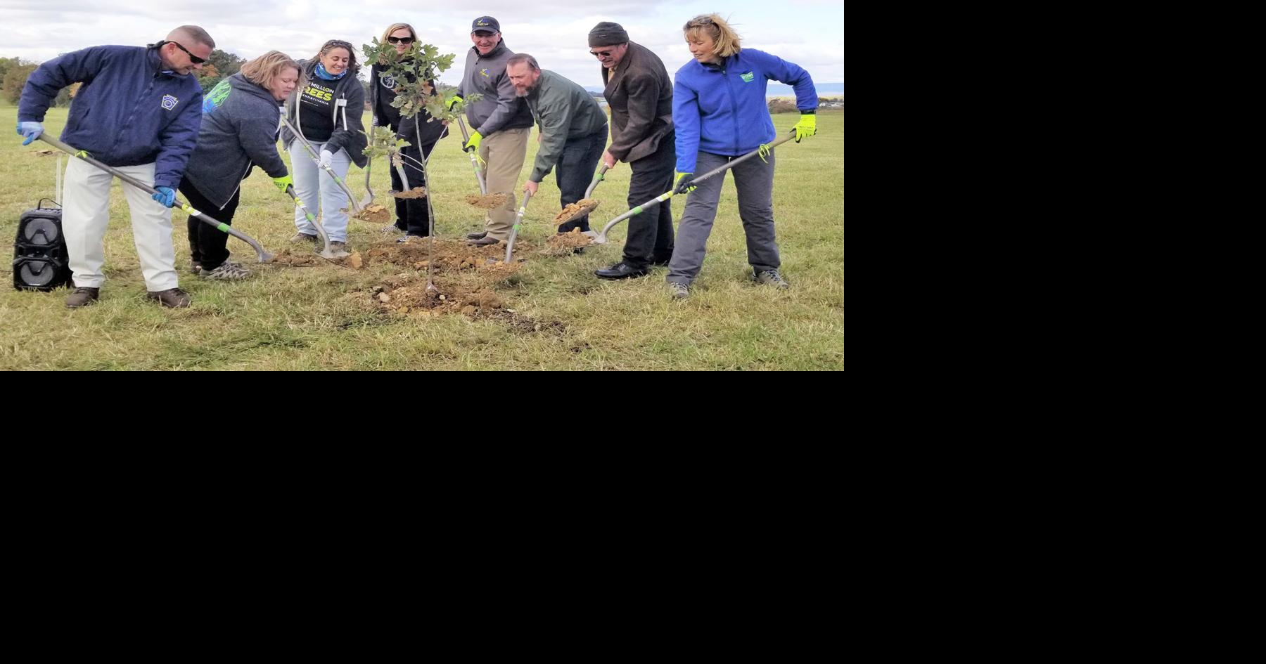 Keystone 10 Million Trees Partnership plants 5 millionth tree | State ...