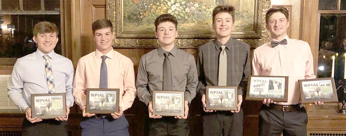 Five DA boys' golfers named All-Section