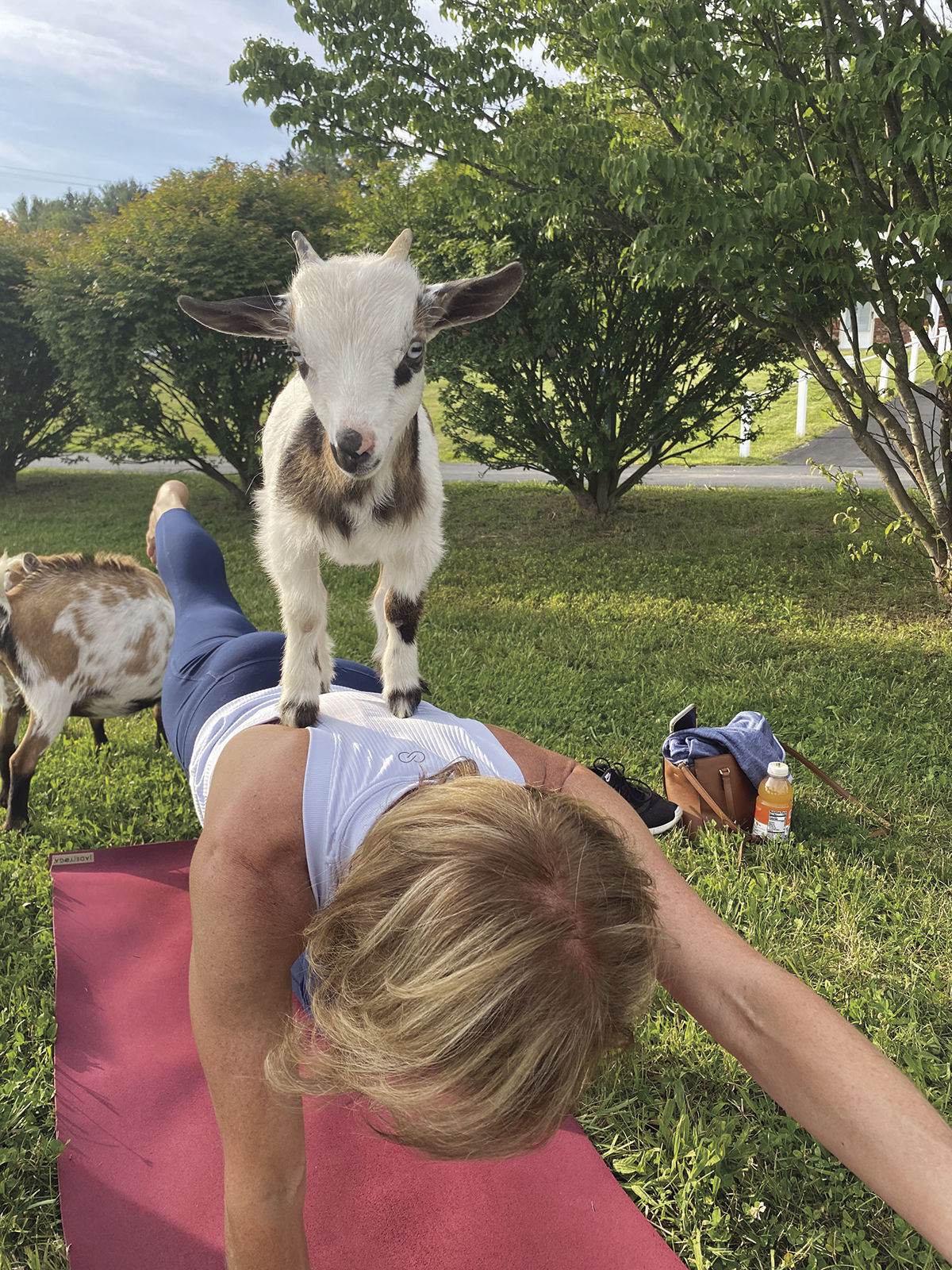 Yoga with goats? For this crowd, it's not a baaaaad idea- McKnight's  Long-Term Care News