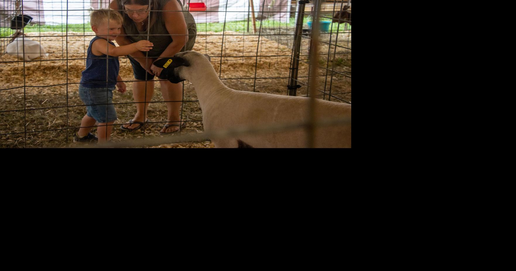 Large crowd attends Derry Twp. Agricultural Fair Local News