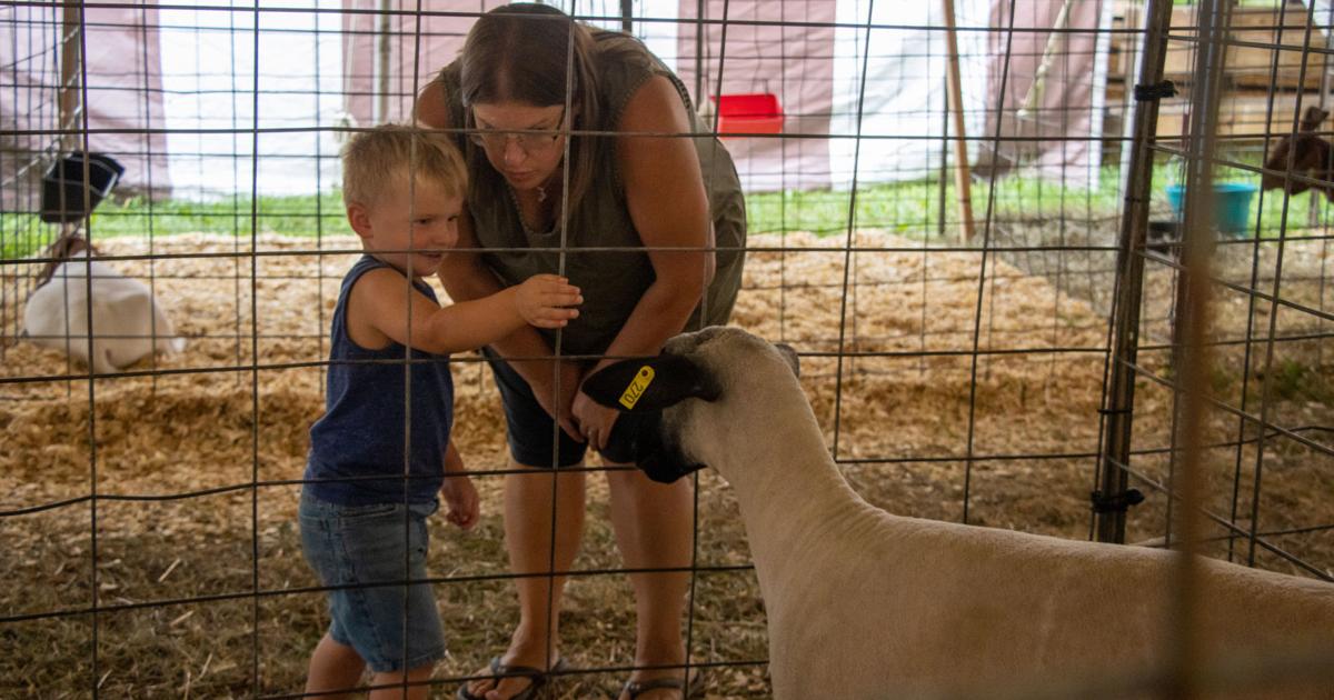 Large crowd attends Derry Twp. Agricultural Fair Local News