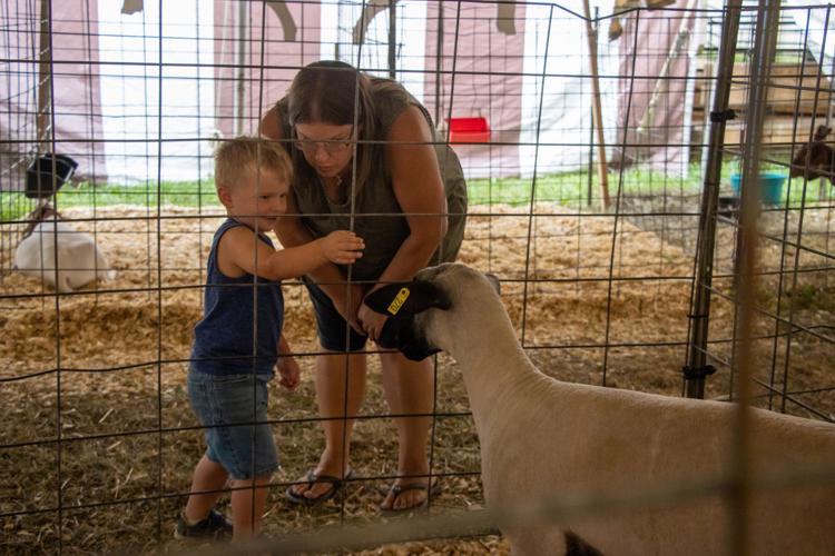 Large crowd attends Derry Twp. Agricultural Fair Local News