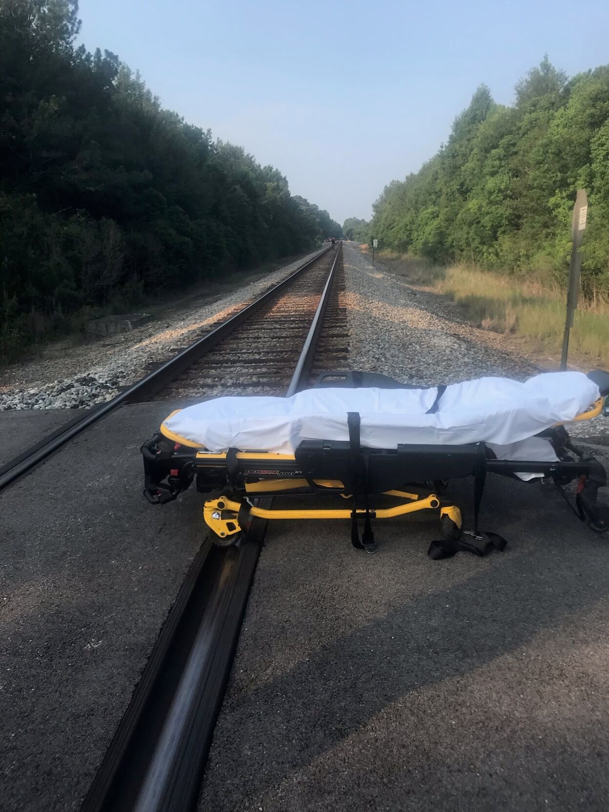 Woman chasing dog hit by train | News | leader-call.com