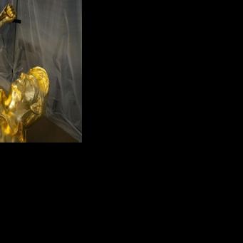 Funny old world: the week's offbeat news