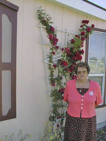 Glenda Sue Ellenberger