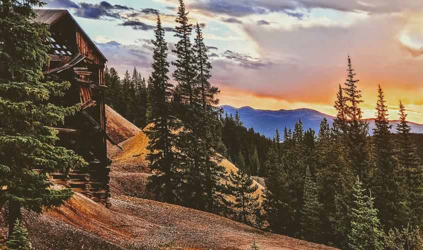 When it comes to your REALTOR, shop local with Centennial Real Estate