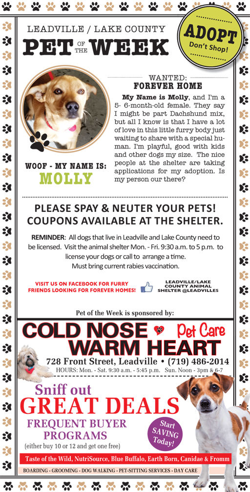 vip petcare rabies coupon