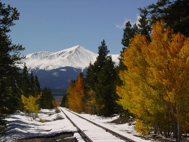 When it comes to your REALTOR, shop local with Centennial Real Estate