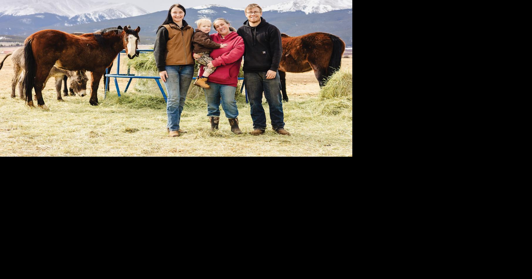 Local nonprofit rescues horses