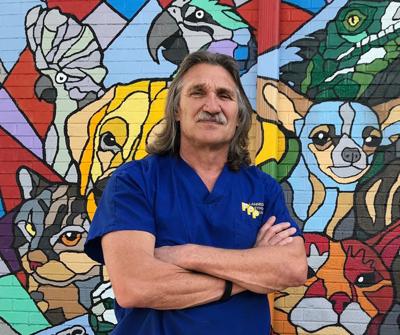 Young granted CUP for new vet clinic | Free Content Young granted CUP for new vet clinic | Free Content