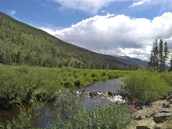 Forest Service looks at feasibility study | Free Content - Leadville Herald Democrat