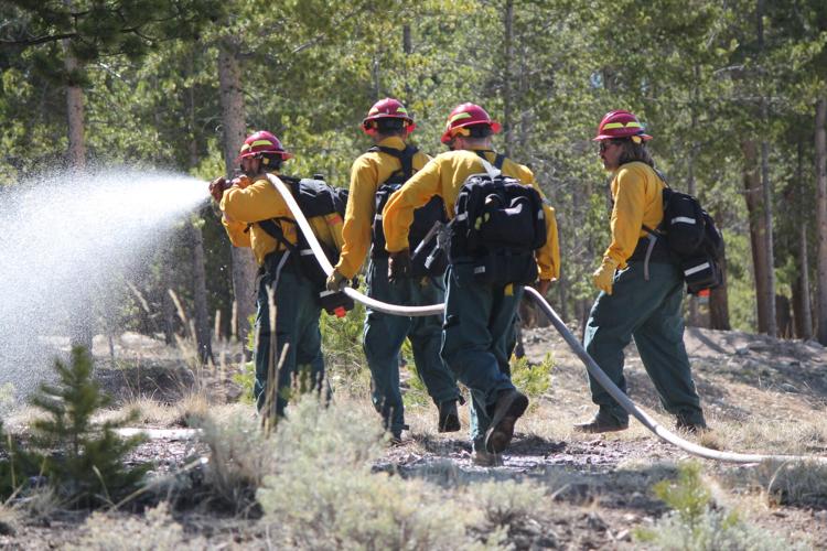 CMC Fire Academy students train progressive hose laying for wildfire ...