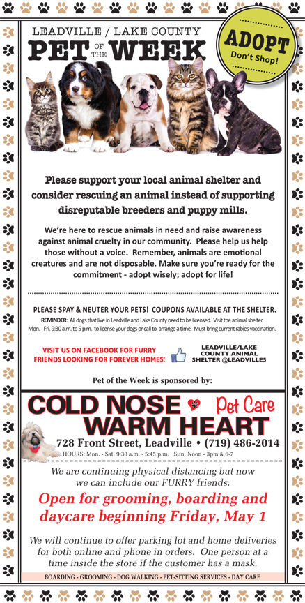 vip petcare rabies coupon