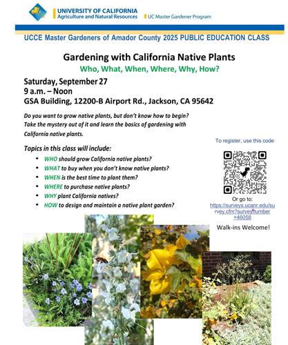 Gardening With California Native Plants  Saturday, September 27 | On the  Vine | ledger.news