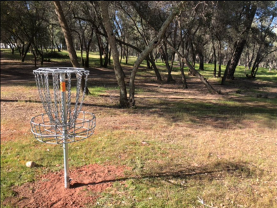 Ione City Council: Ione awards contract for disc golf course at Howard