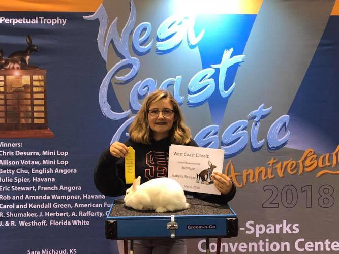 Local 4Hers Win at West Coast Classic Rabbit & Cavy Show On the Vine