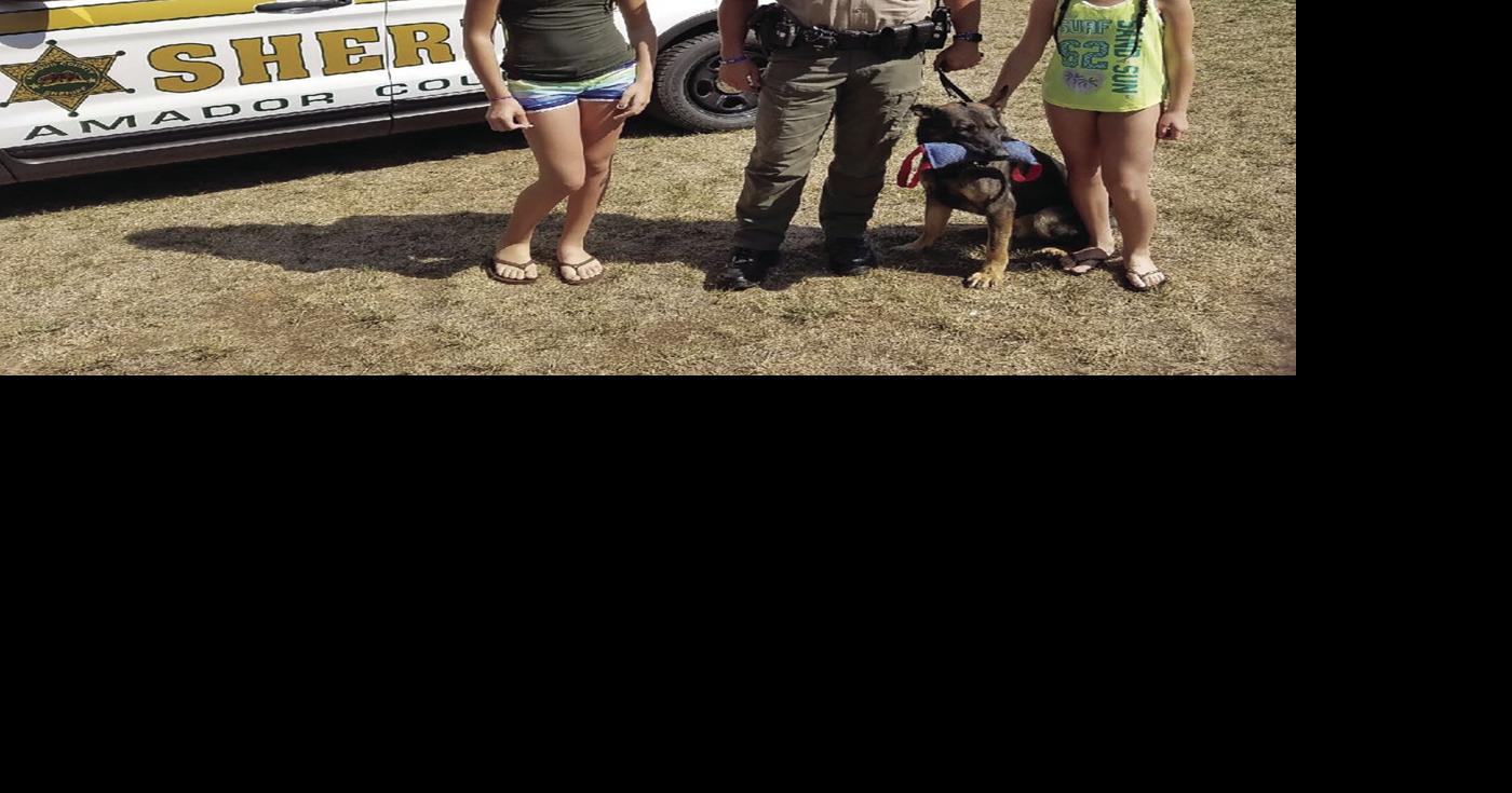 Amador Arrest Log—August 31 through September 10 News ledger.news