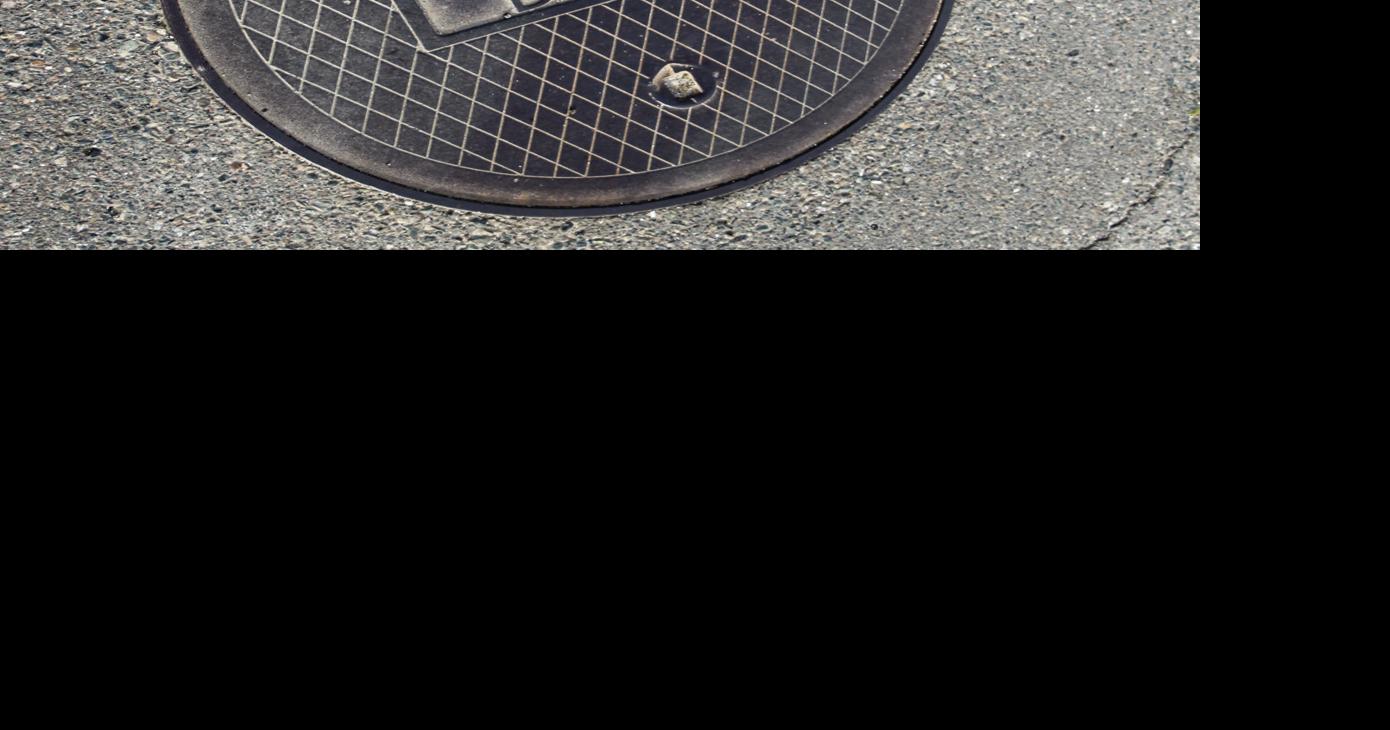 Final Approval from Ione City Council, Wildflower Subdivision