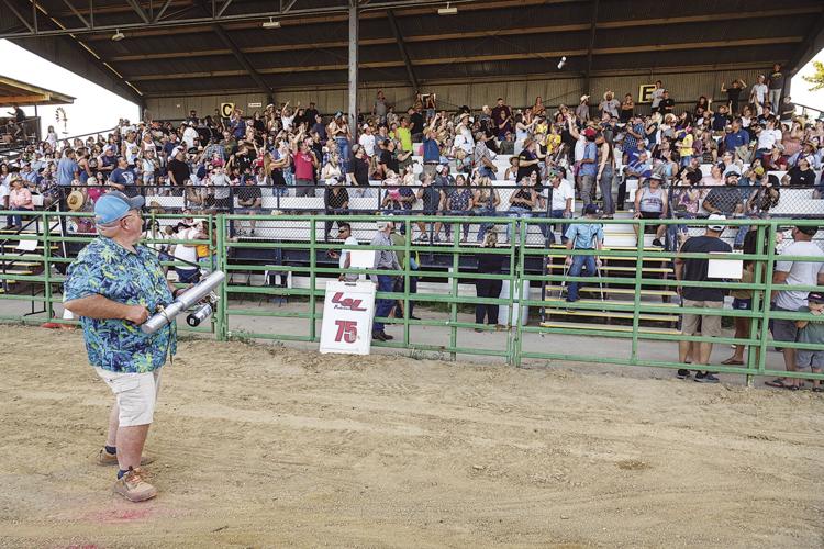 2024 Amador County Fair delivers fun times and 'golden' moments | Roots ...