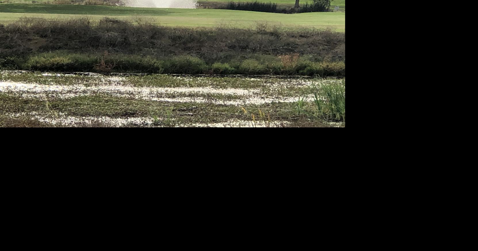 Ione makes plan to take control of its wastewater management News