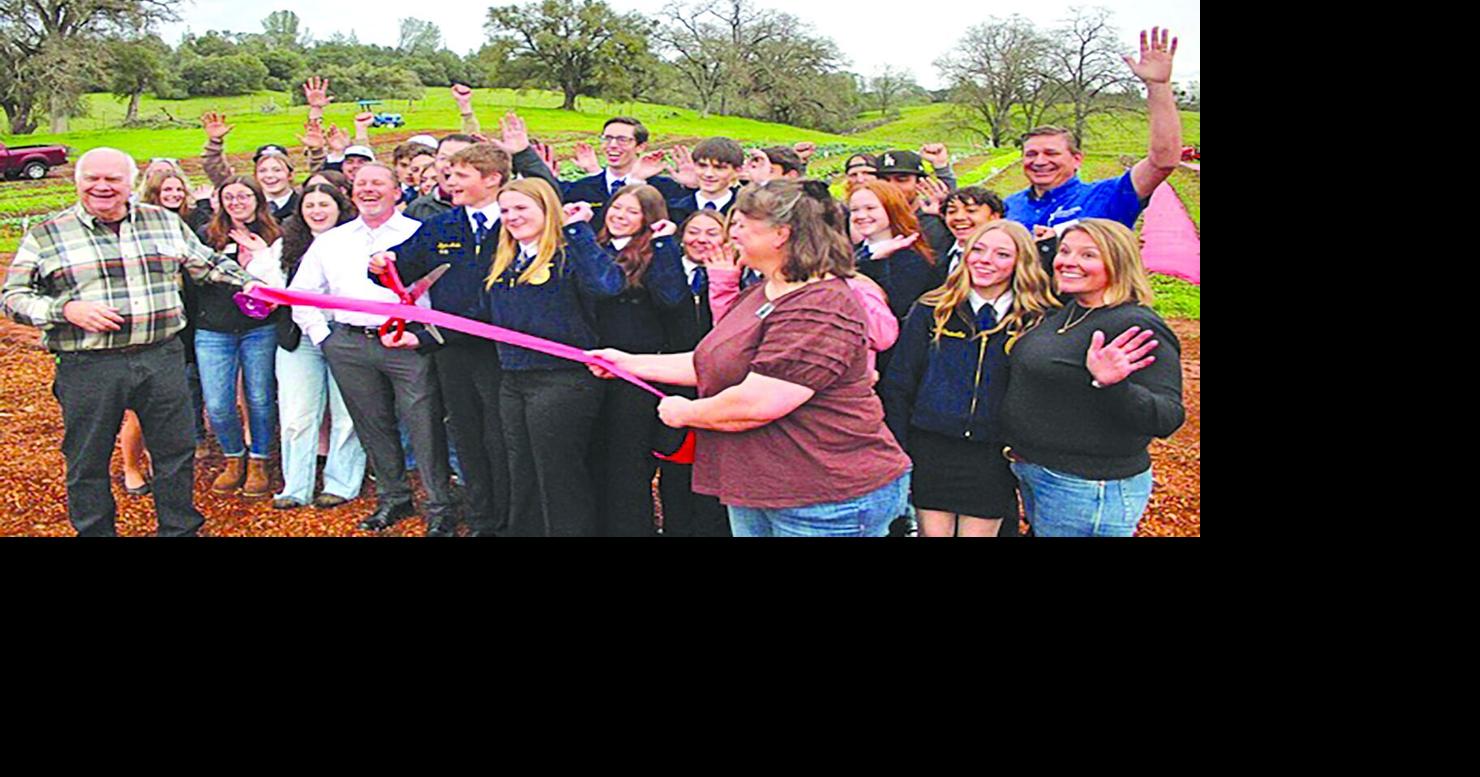 Fresh Ideas: Farm to School