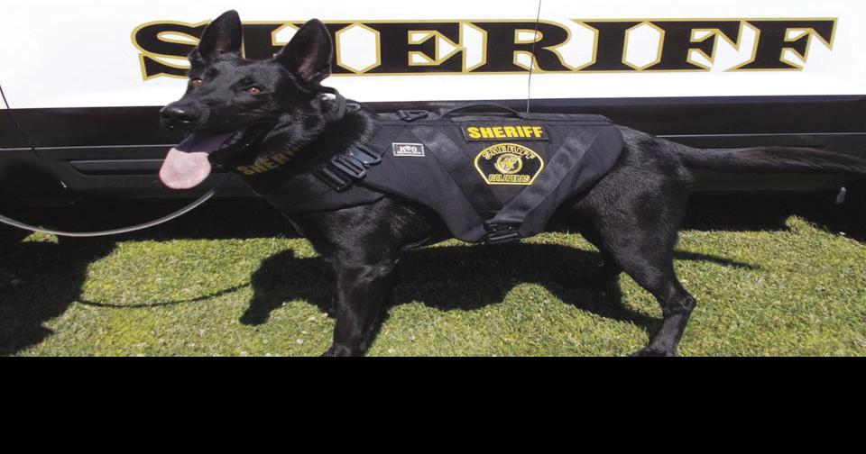 Calaveras Arrest Log—December 20 through December 26 News ledger.news