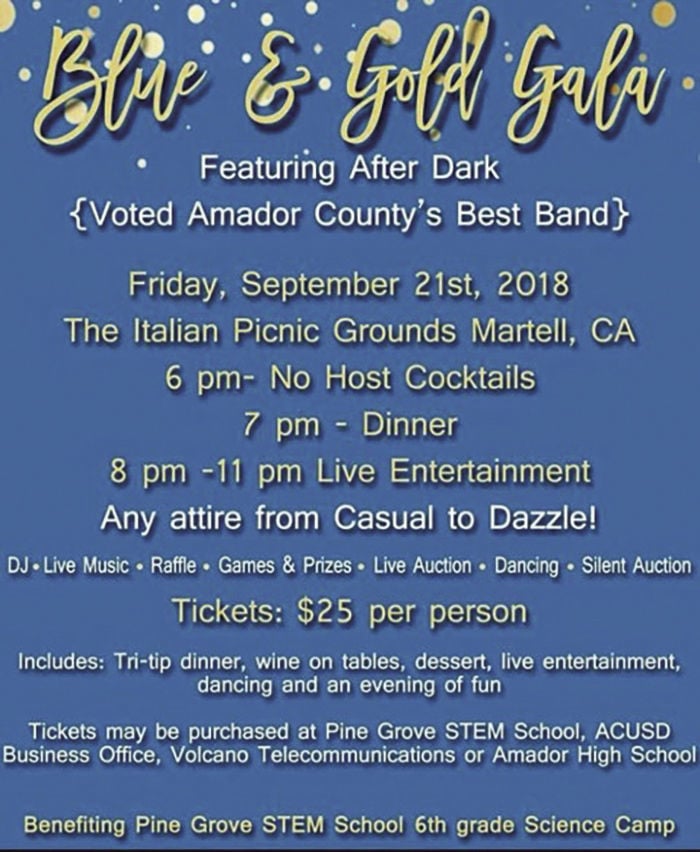 blue gold gala calendar ledger news blue ang gold